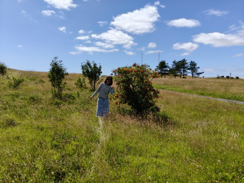 秋蝉的第一张照片--四川交友中心